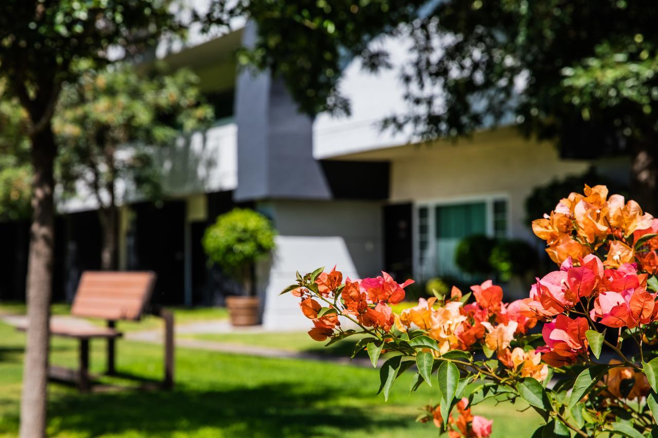 Fiesta Inn San Luis Potosi Glorieta Juarez Экстерьер фото